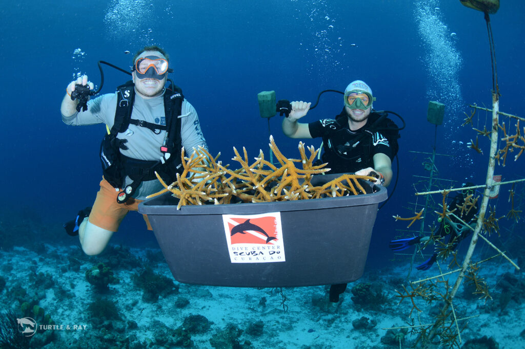 BRANCH and their local partner Scuba Do