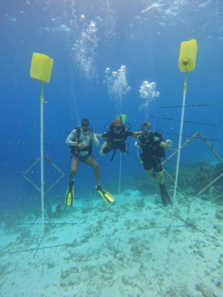 Partners diving with BRANCH Coral Foundation to their nursery