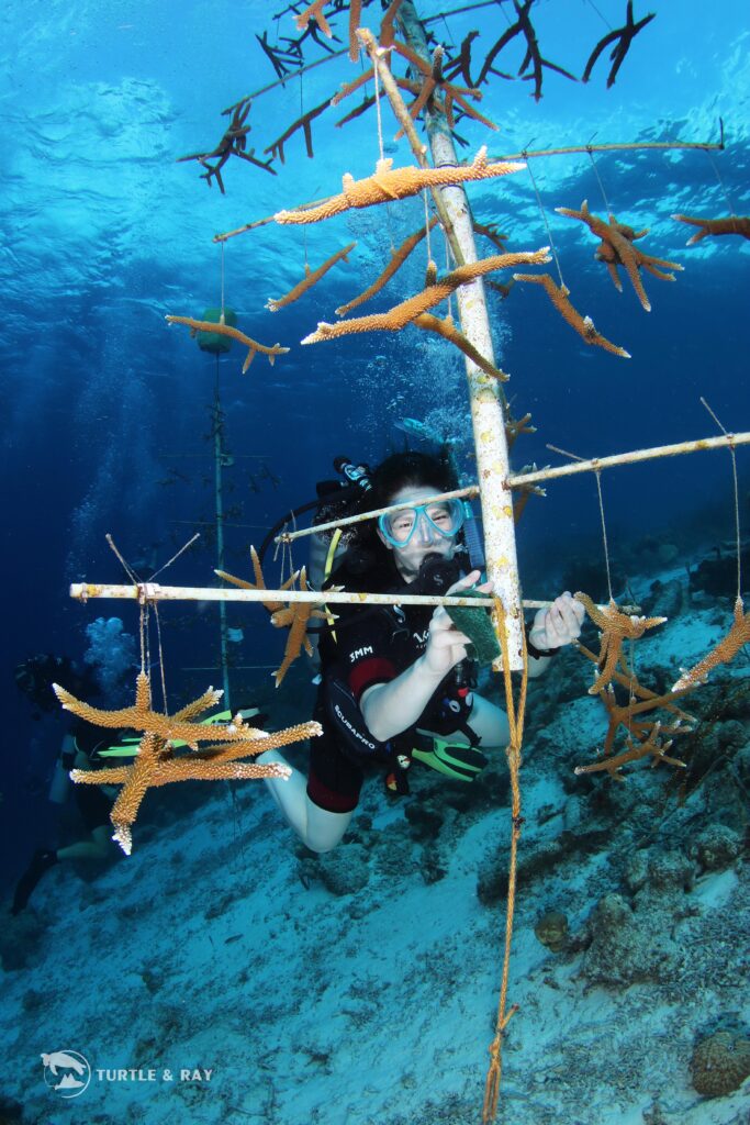 Volunteer cleaning at BRANCH Coral Foundation
