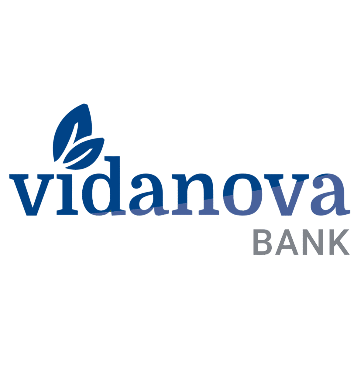 Partnerlogo: Vidanova