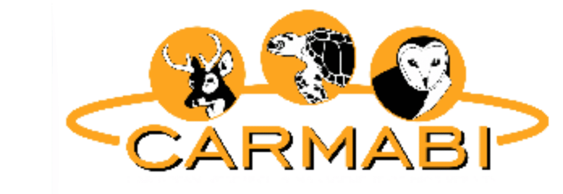 Logo VidanovaBank.pdf-15