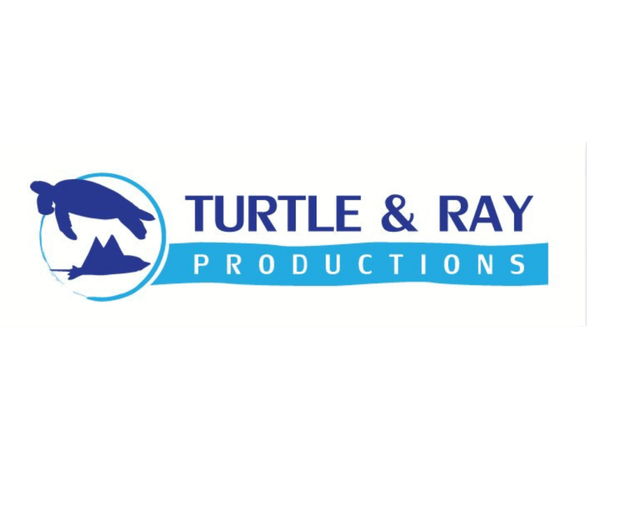 Partnerlogo: Turtle & Ray