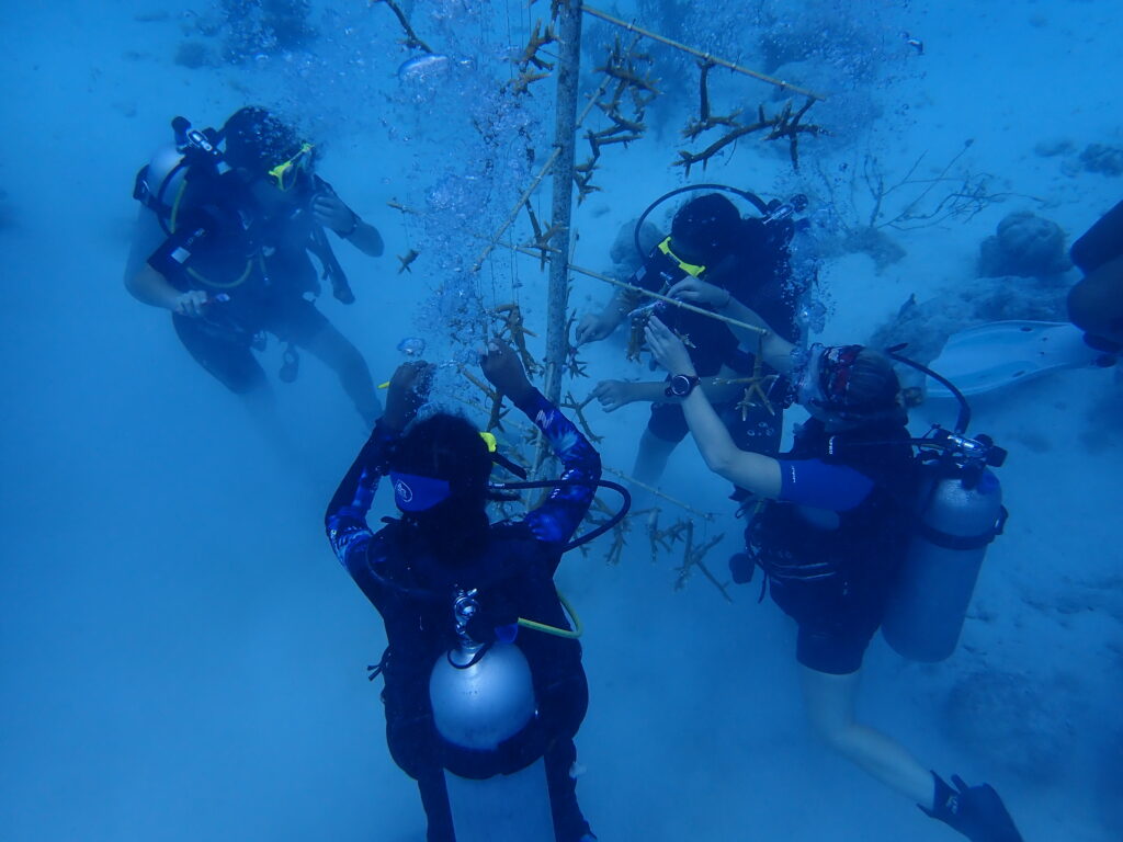 BRANCH Coral Foundation diving with Youth Rangers from Carmabi and cleaning a coral nursery