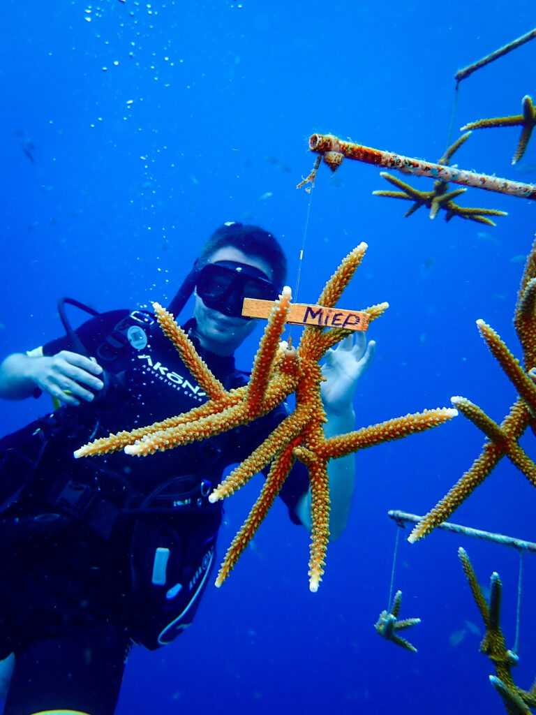 Happy to have adopted a coral