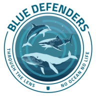 BRANCH Partner: Blue Defenders