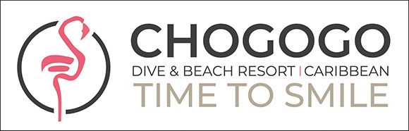 Partnerlogo: Chocogo