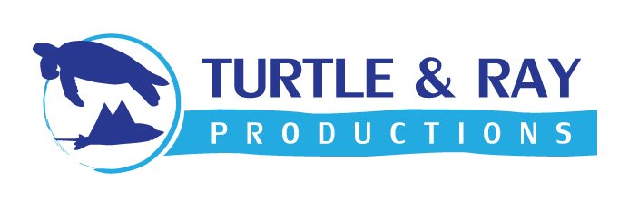 logo-colorido-png-copy-jpg